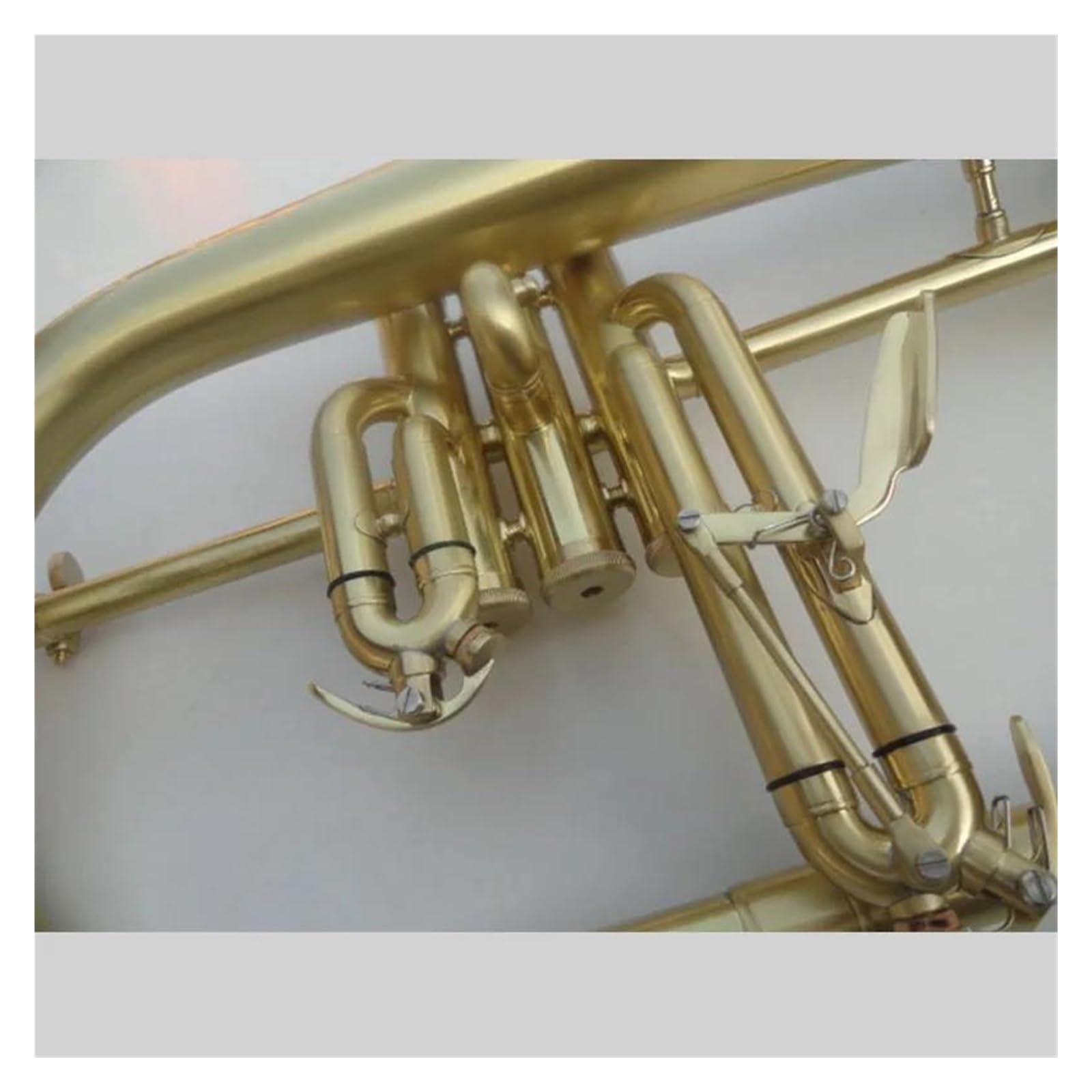 Flugelhorn Bb B Płaski instrument dęty Flugelhorn z twardą obudową, ustnikiem, szmatką i rękawiczkami