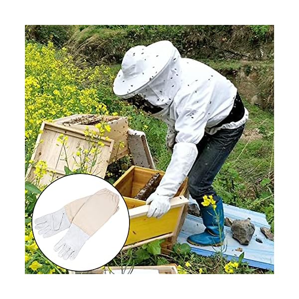 Imkerei Werkzeug DBAILY 2 PCS Wabenzieher Zange mit Holzgriff Imkerhandschuhe Ziegenleder Schutzhandschuhe Wabenzieher… – Bild 7