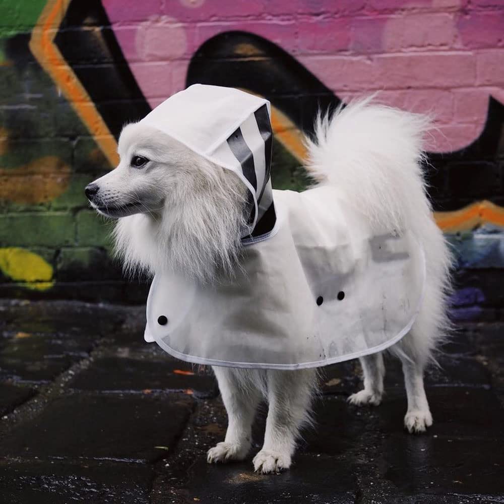 Impermeable para Perros, Chubasquero de Primavera for Perros, translúcido, Impermeable, for pequeños y medianos, Ideal for Cachorros(Blue,XXL)
