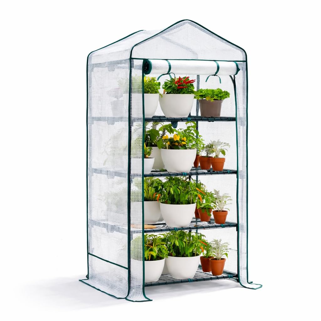 BRAMBLE 4-Poziomowa Szklarnia ze Stalową Ramą i Wzmocnioną Plandeką z PCV - Kryty i Odkryty — Solidna i Łatwa w Montażu — 160x69x49cm