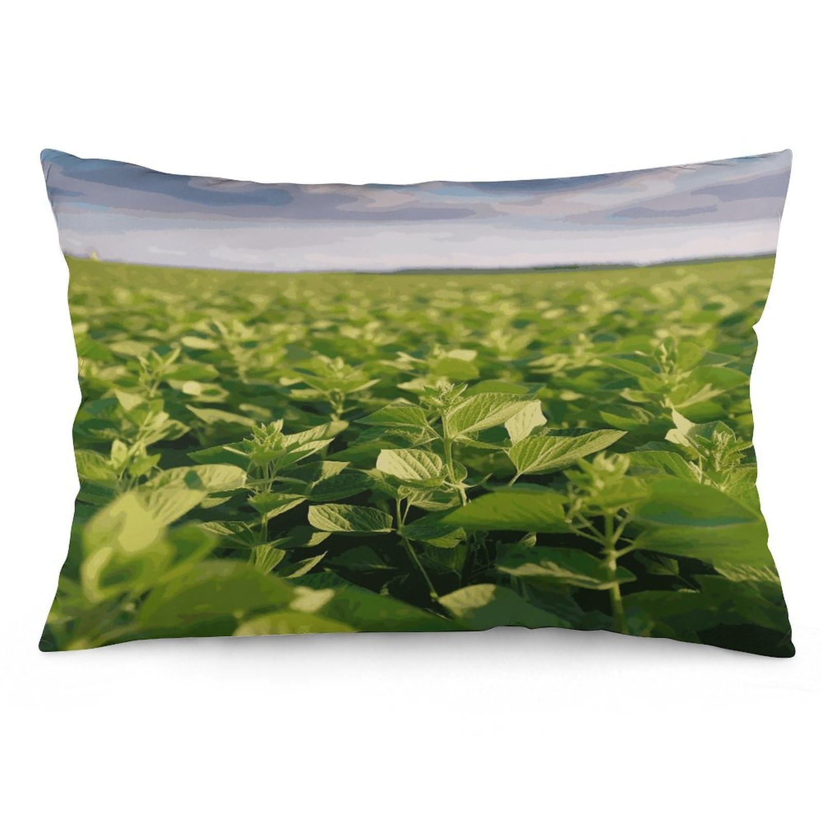 Soybean Field Throw Pillow Covers with Silent Zipper Polyester Pillow Protectors Removable Pillow Cases Soft Pillowcase Cozy Pillow Sham Cushion Cover for Sofa Car Bed 20"x30"