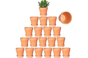 Stylish Small Terracotta Pots 3 Inch with Saucer