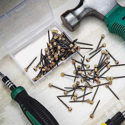 Image of 40 Pcs Picture Hanging Nails Small Picture Frame Nails Large Picture Frame Wall Hangers Picture Hanger Nails Photo Frame Hanging Nails