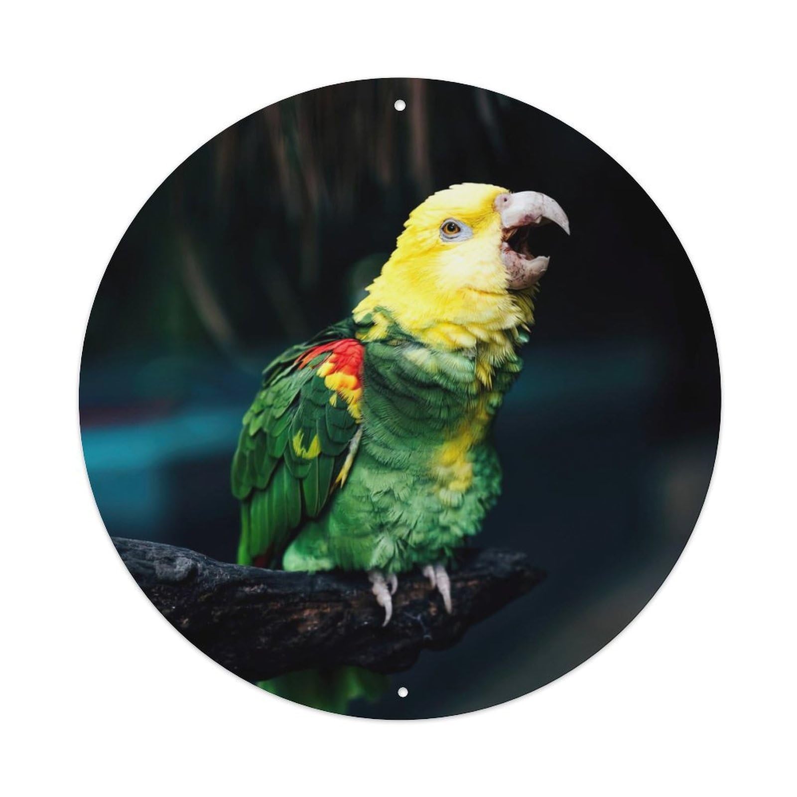 Cwbufd Vintage Style Animal Vibrant Yellow Headed Parrot On Branch Jungle Bird Art Vintage Metal Tin Sign Plaque Wall Decor For Cafe, Club Bar, Office, Garden Metal Poster 8X8inch