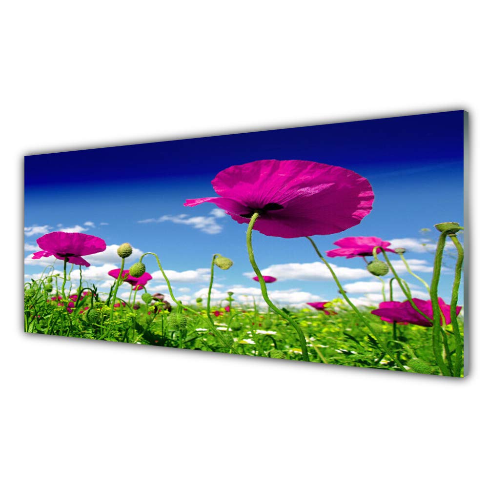 Verre Acrylique 125x50cm Plastique Imprimé Tableau Mural Fleurs
