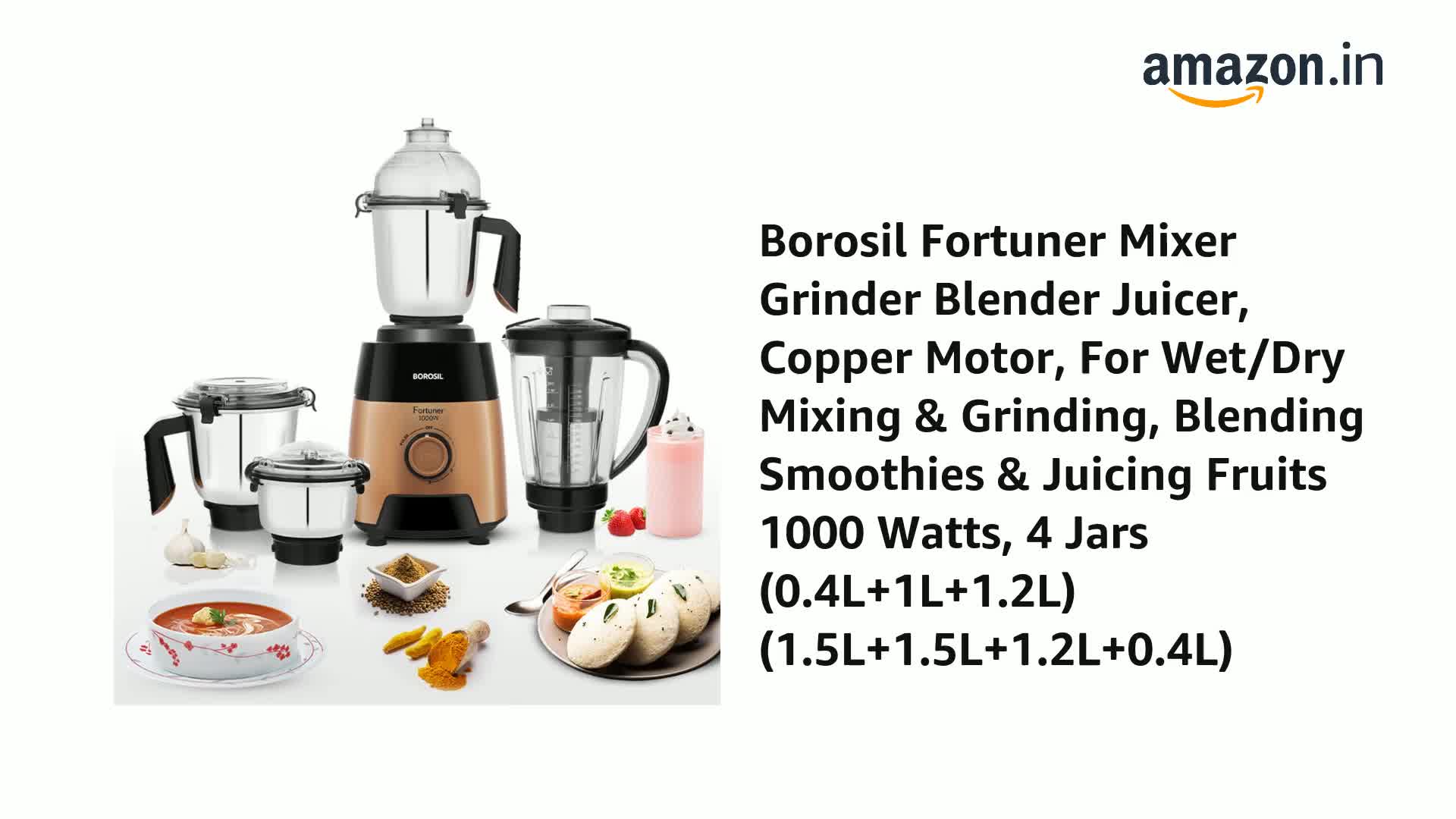 fortuner mixer grinder price
