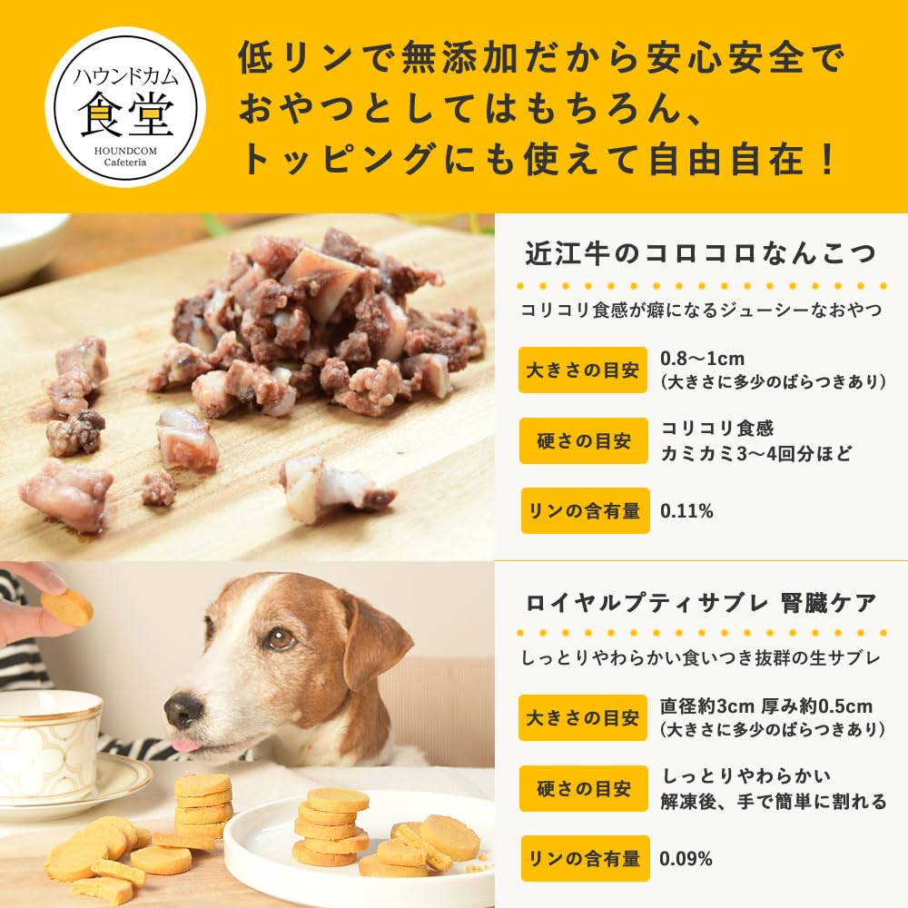 Amazon.co.jp: 【Amazon.co.jp限定】帝塚山ハウンドカム 犬