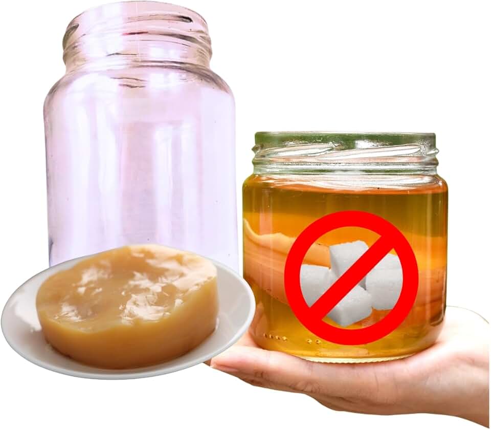 Kombucha Zero Açúcar Jun Chá Colonia Viva Ganhe Frasco 500ml