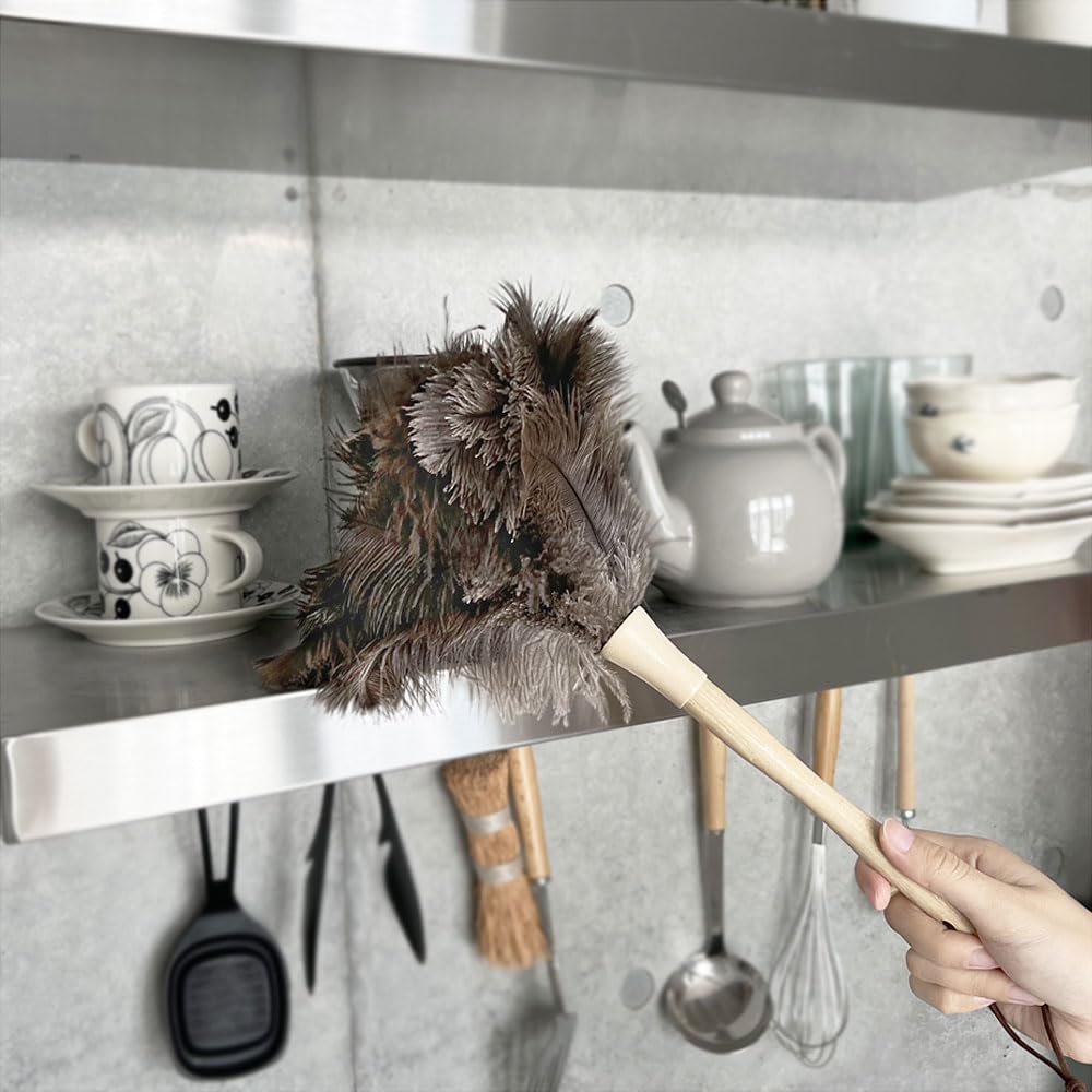 Amazon｜the reset オーストリッチ羽根はたき - ブラックダチョウの毛