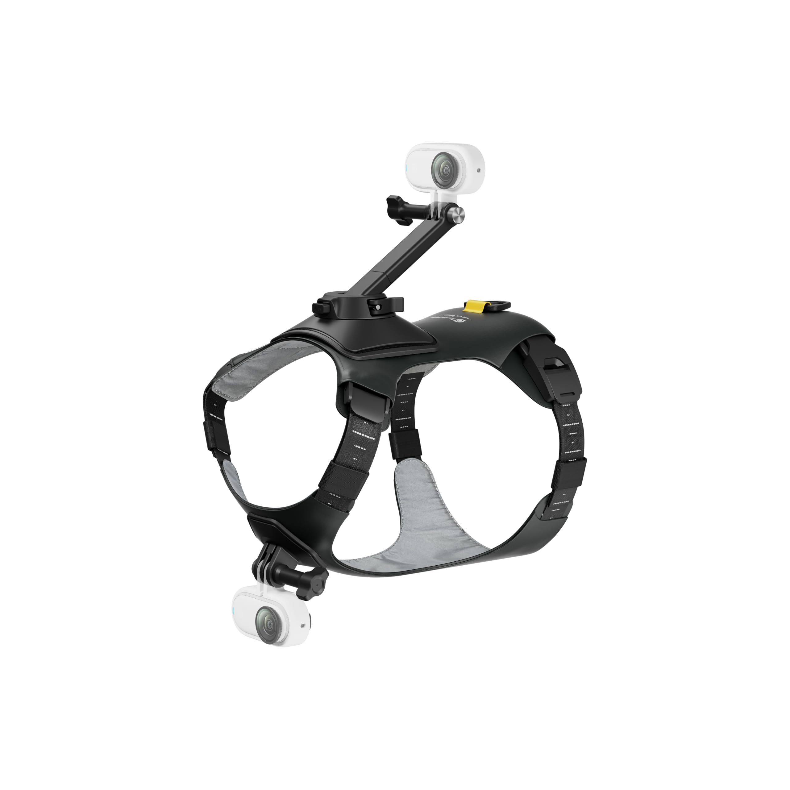 Insta360 Pettorina per animali domestici Misura S