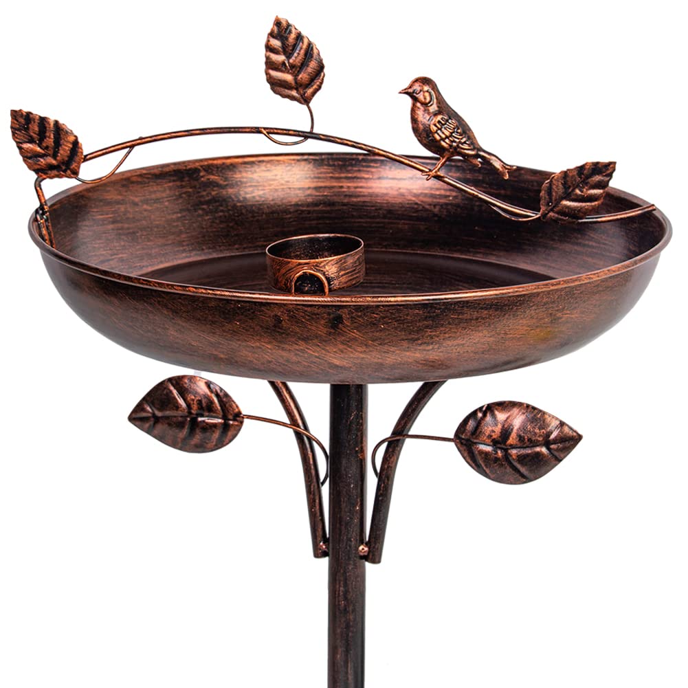 10 Best Copper Bird Baths for Your Garden Hummingbirds Plus