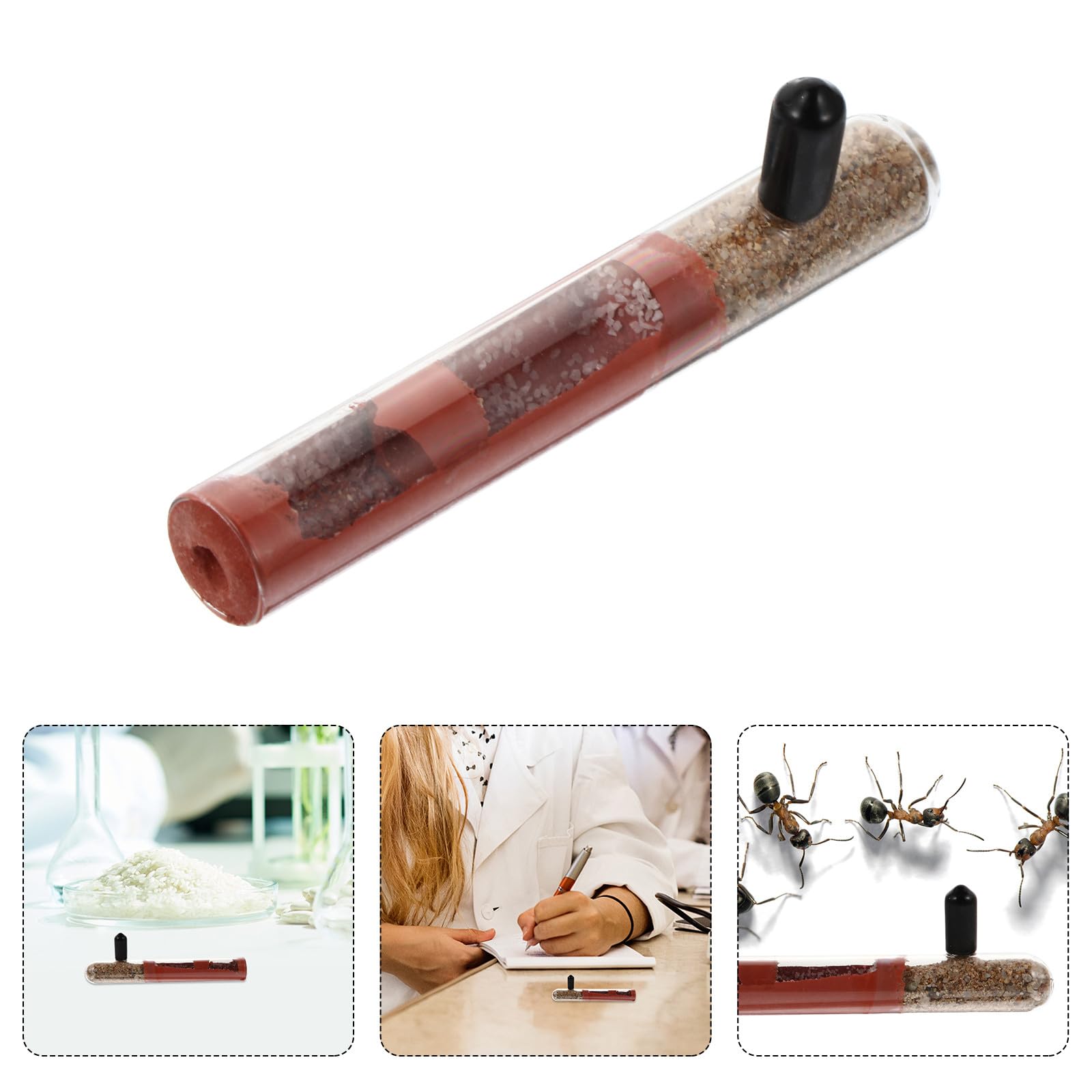 Alasum Tubo de Cría para Hormigas de Vidrio Transparente 15X100 MM, Nido Tubular para Terrario, Suministro Profesional para Colonia de Hormigas, Adecuado para Paisajismo y Alimentación