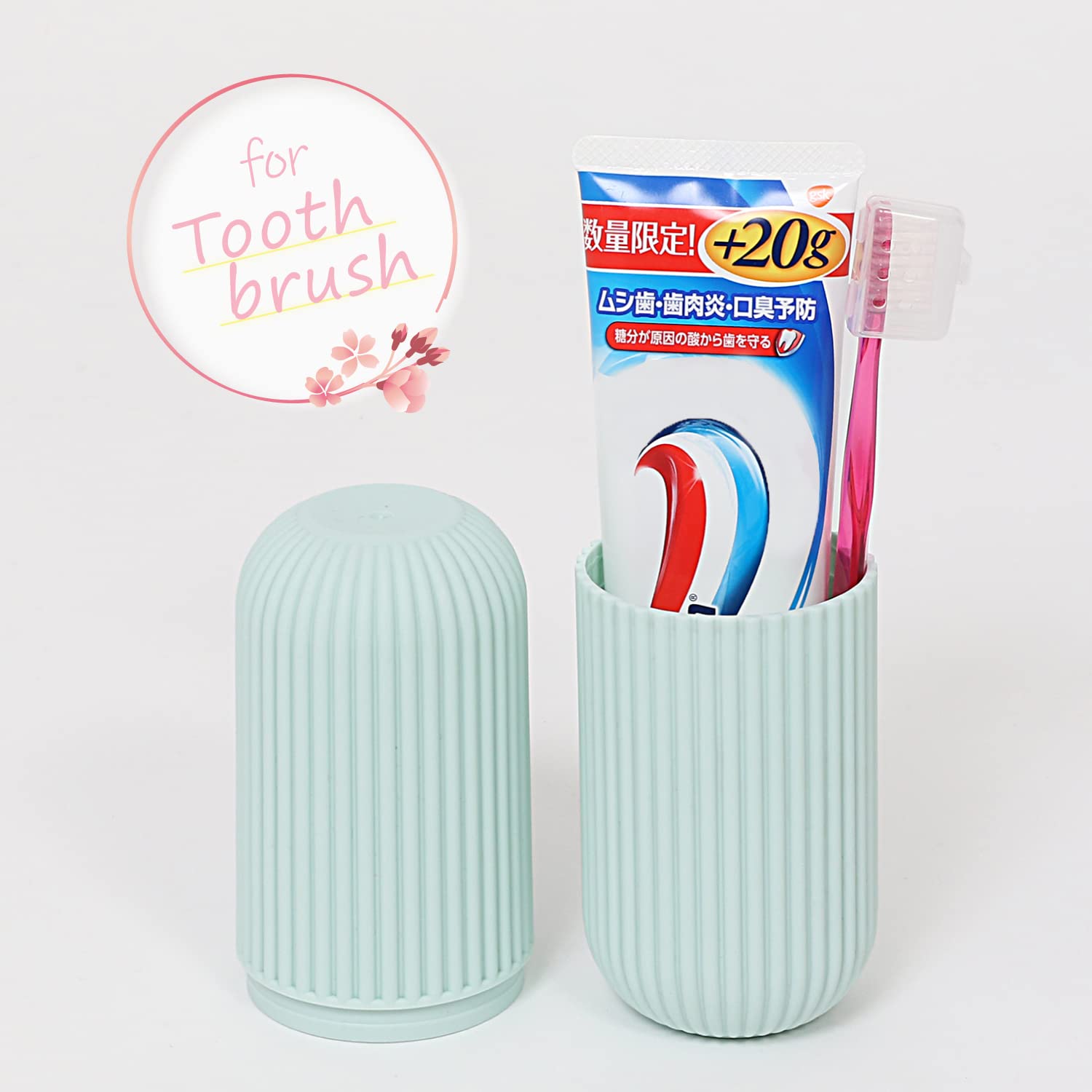 ARTS&SCIENCE Tooth brush case ペンケース可能