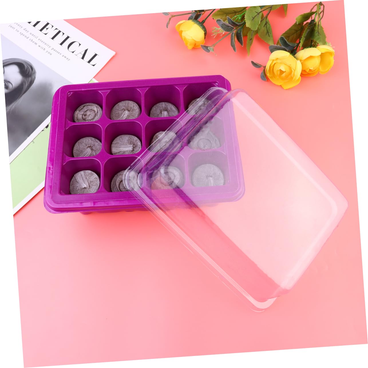 Toddmomy Set di Vassoi per Piantine Kit per La Coltivazione di Microgreens Vassoio per Piante Kit per La Germinazione Vassoio per Semi Tappetino per Piante Germogli da Giardino