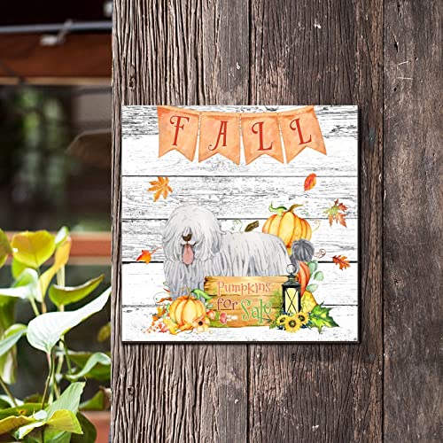 Plaque murale en bois Fall Pumpkins décorative pour maison 30,5 cm