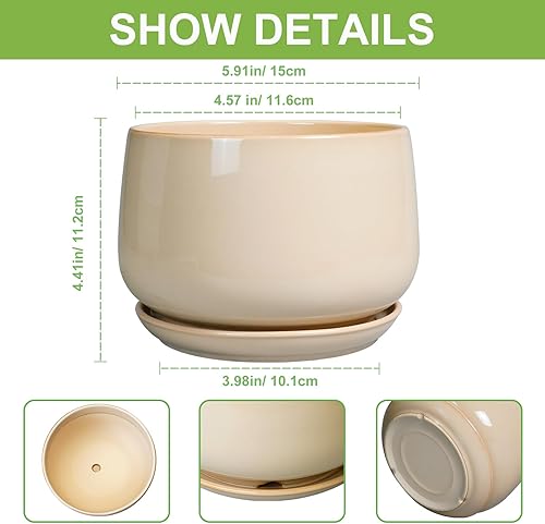 Miniatura 3 de G EPGardening Maceta de cerámica para plantas, maceta de 6 pulgadas con drenaje y platillo de cerámica, macetas para plantas de interior, maceta