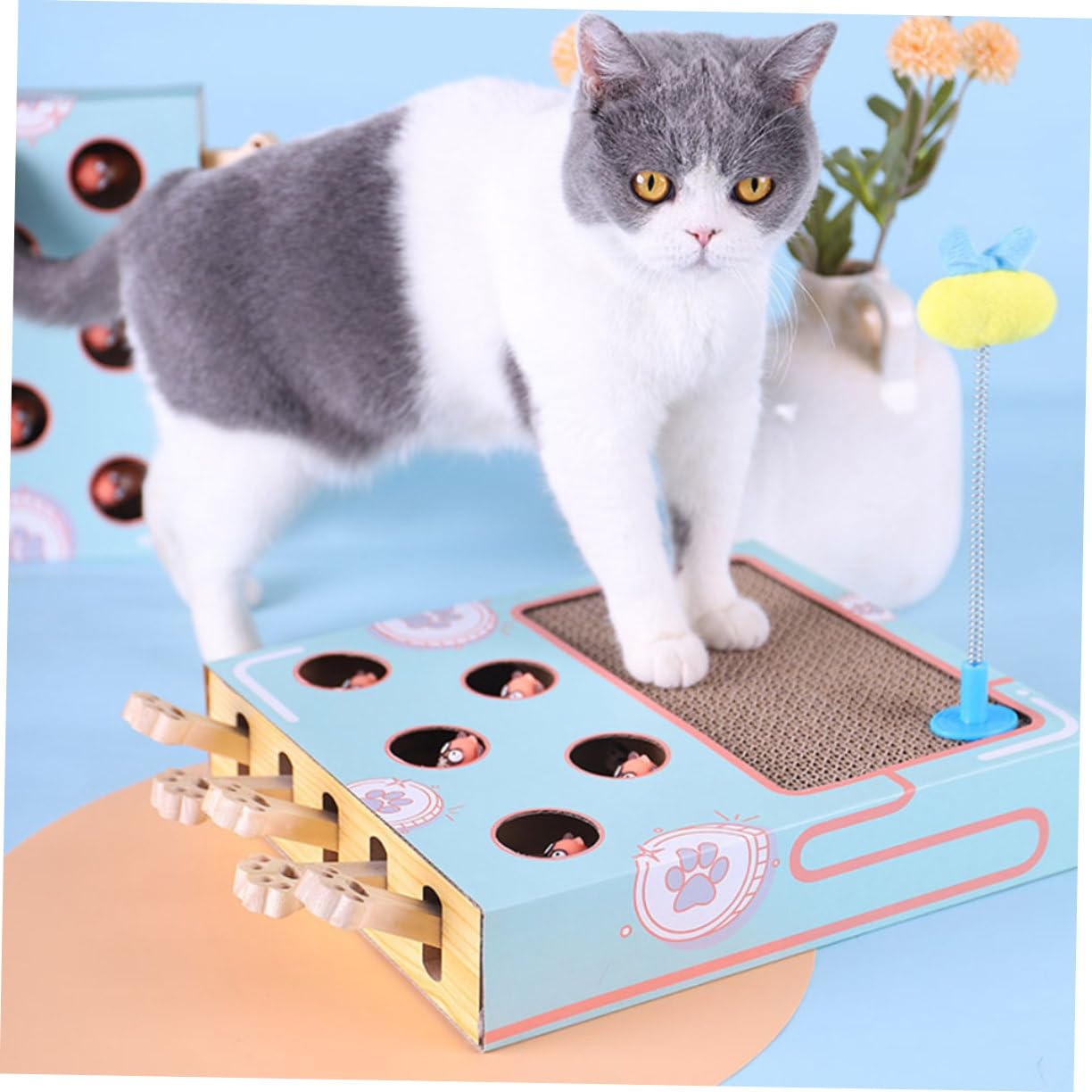 Katzenkratzspielzeug Mit Katzenfang-Maulwurf Fein Verarbeitet Aus Hochwertigem Material Robust Und Fördert Die Interaktion Und Bewegung Für Kätzchen