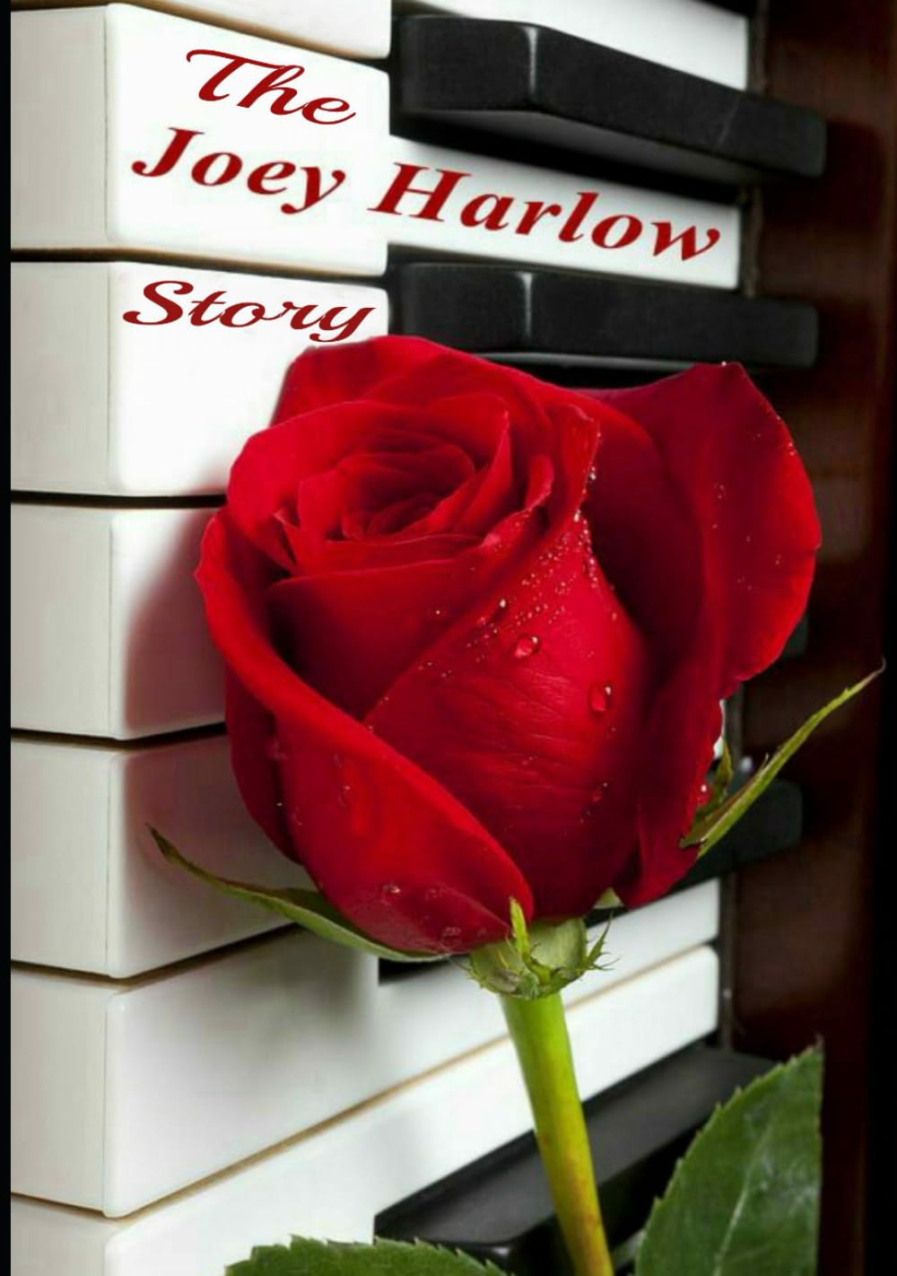The Joey Harlow Story le livre idéal pour vos moments de détente et lecture au coin du feu