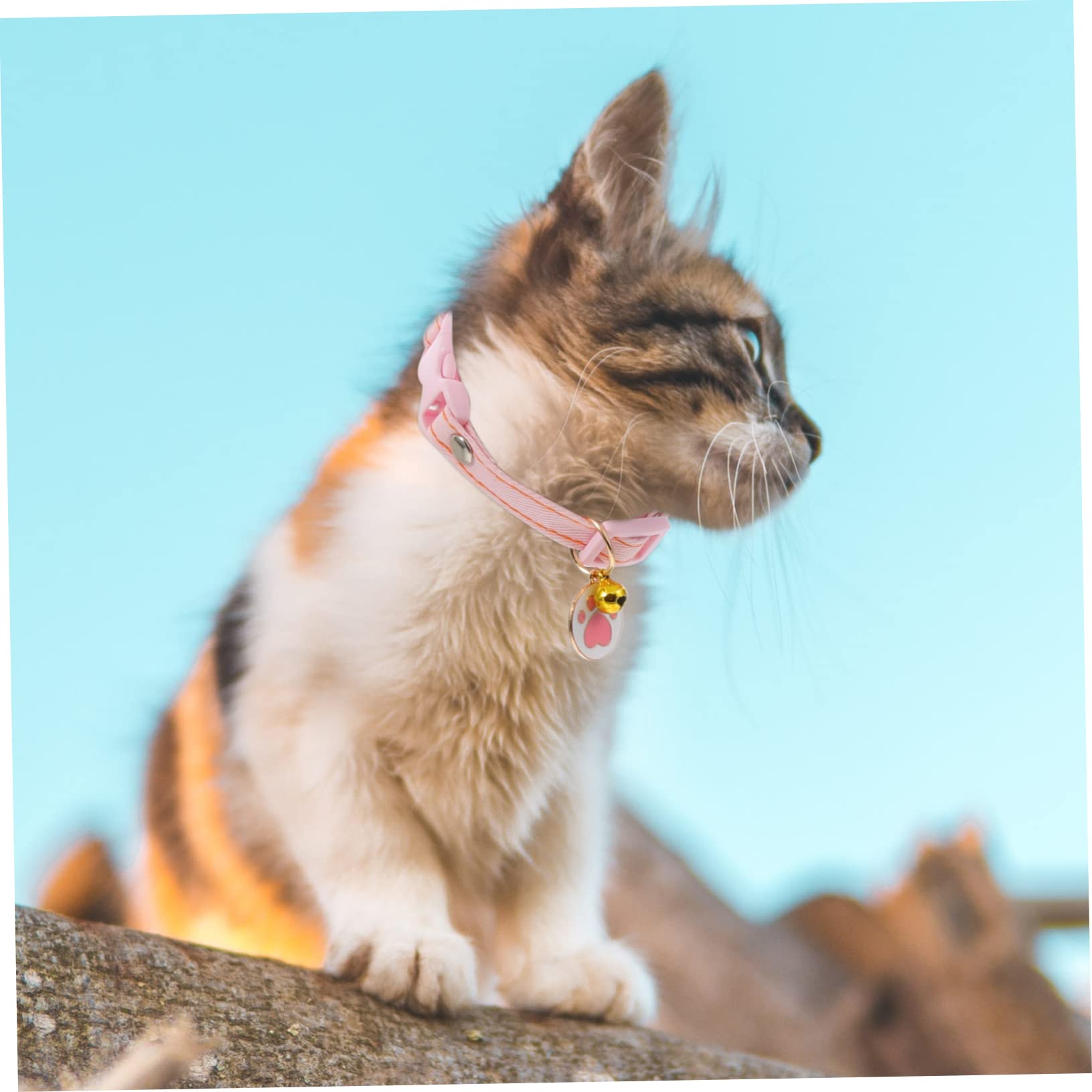POPETPOP 12pièces Collier pour Chat Réglable avec Clochette De Whale à Carreaux Patte Collier Décoratif Doux Et Confortable pour Chaton Et Chat Accessoires pour Animaux De Compagnie