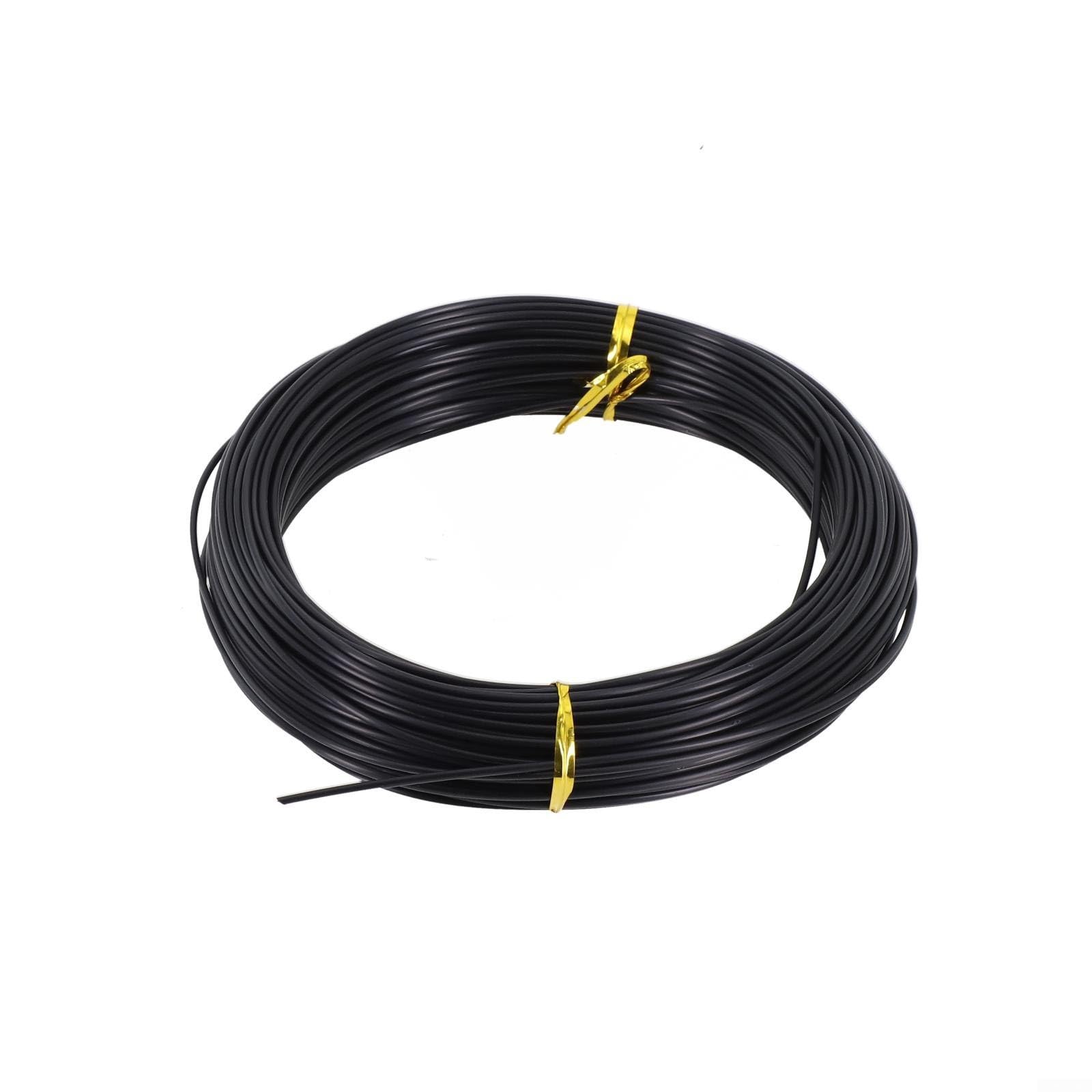 Cuerda de pesca de línea larga de monofilamento, línea de pesca submarina de nailon de 30 m, líder de pesca de barco de alta resistencia para pesca de pesca en aguas profundas, negro, 1.6 mm