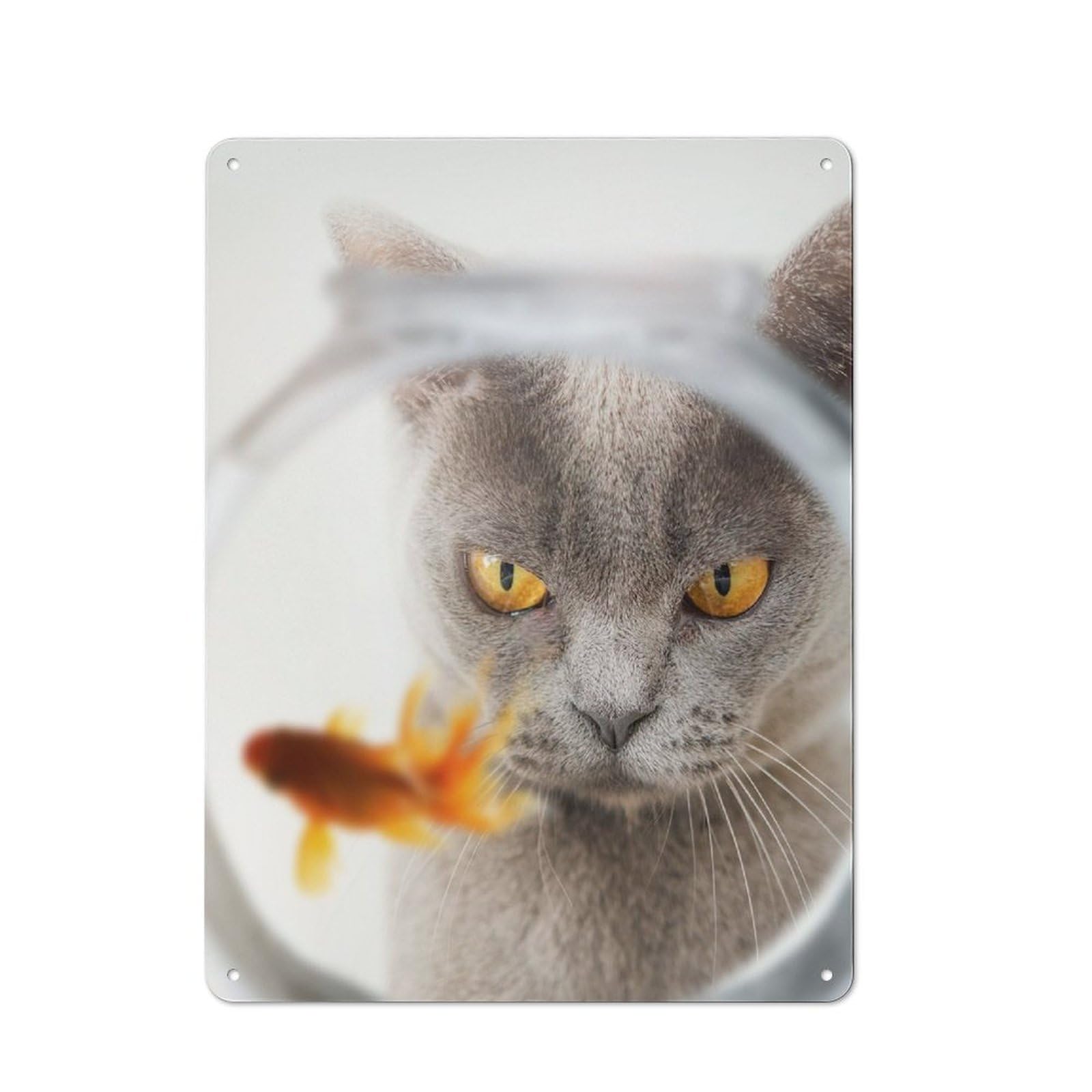 Junmoney Cat Fish Metal Wall Sign 40X30cm Featuring For Home Bar Wall, For Themed Interiors In Home Bars And Entertaining Spaces