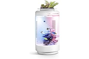 FZONE Mini Desktop Aquarium, 1.2 Gal Small Fish Tank with Plant Pot,...