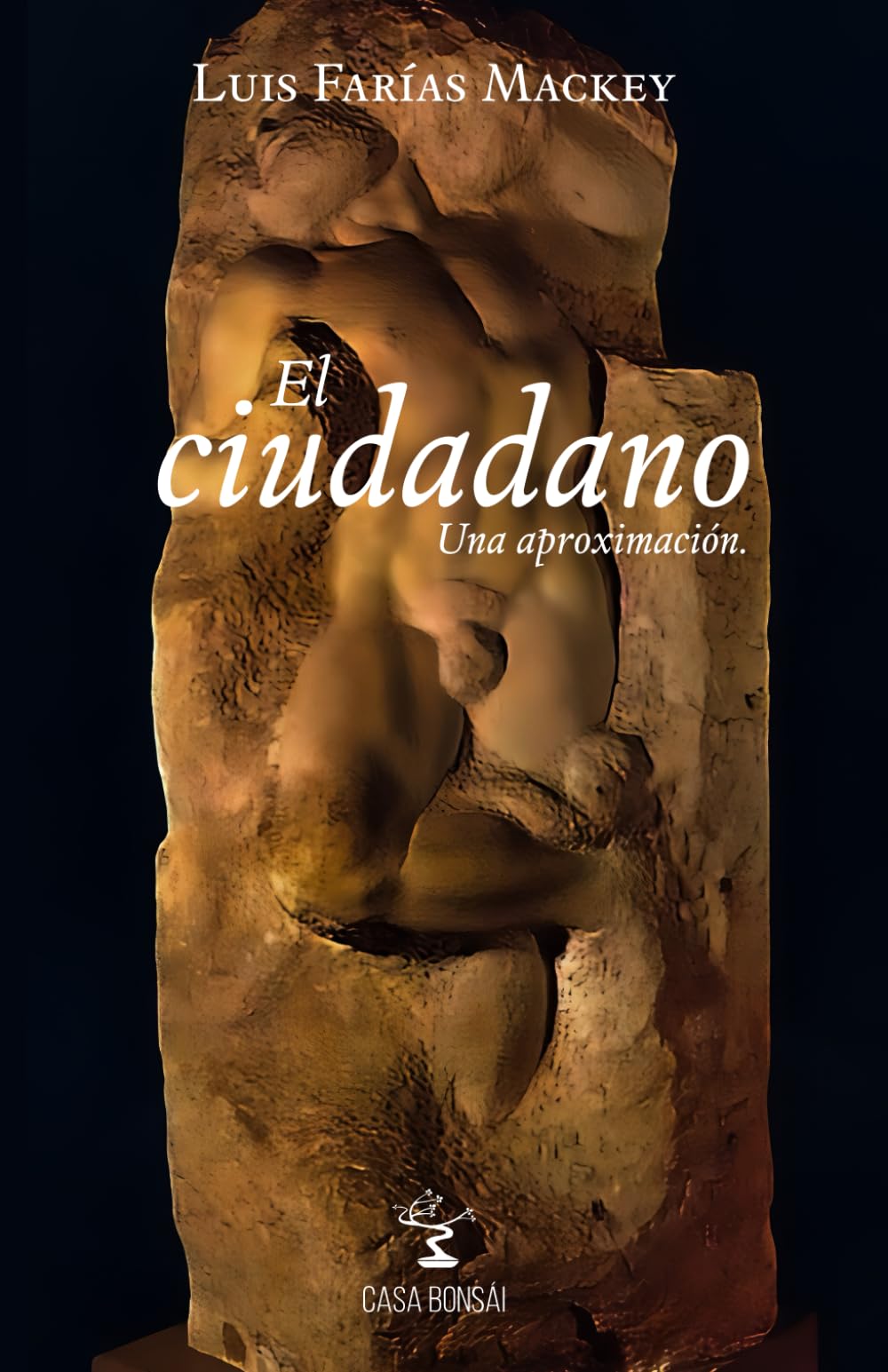 El ciudadano: Una aproximación