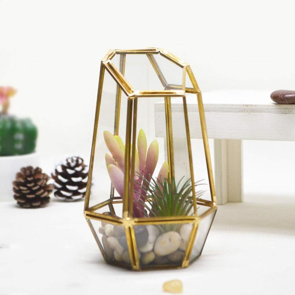 Glass Planters Wall Hanging Planters Durable Height Super
