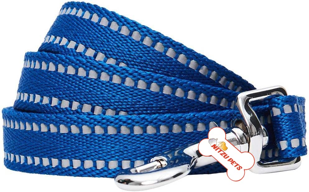 Nylon Training Dog Leash for Small Medium Large Dogs, 10ft 15ft Long Leash Dog/Puppy Lead for Obedience Recall Training, Camping Strong Durable Nylon Dog Training Leash, (Reflective Blue, 10 FEET) (B0C1T3J17P) Amazon Price History, Amazon Price Tracker