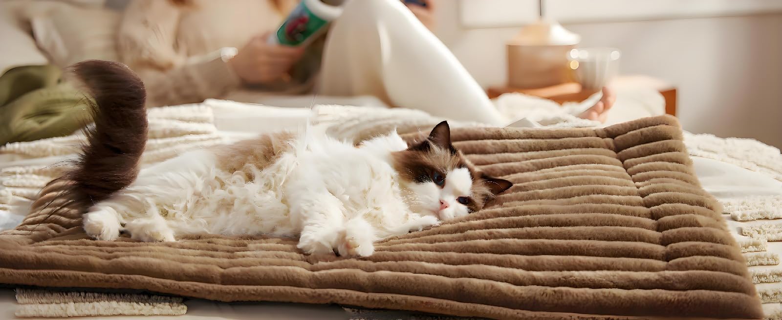 Generisch Selbstheizende Katzenmatte waschbare Katzenmatte und Hundedecke mit Rutschfester Unterseite für Katzen - und Hundebett