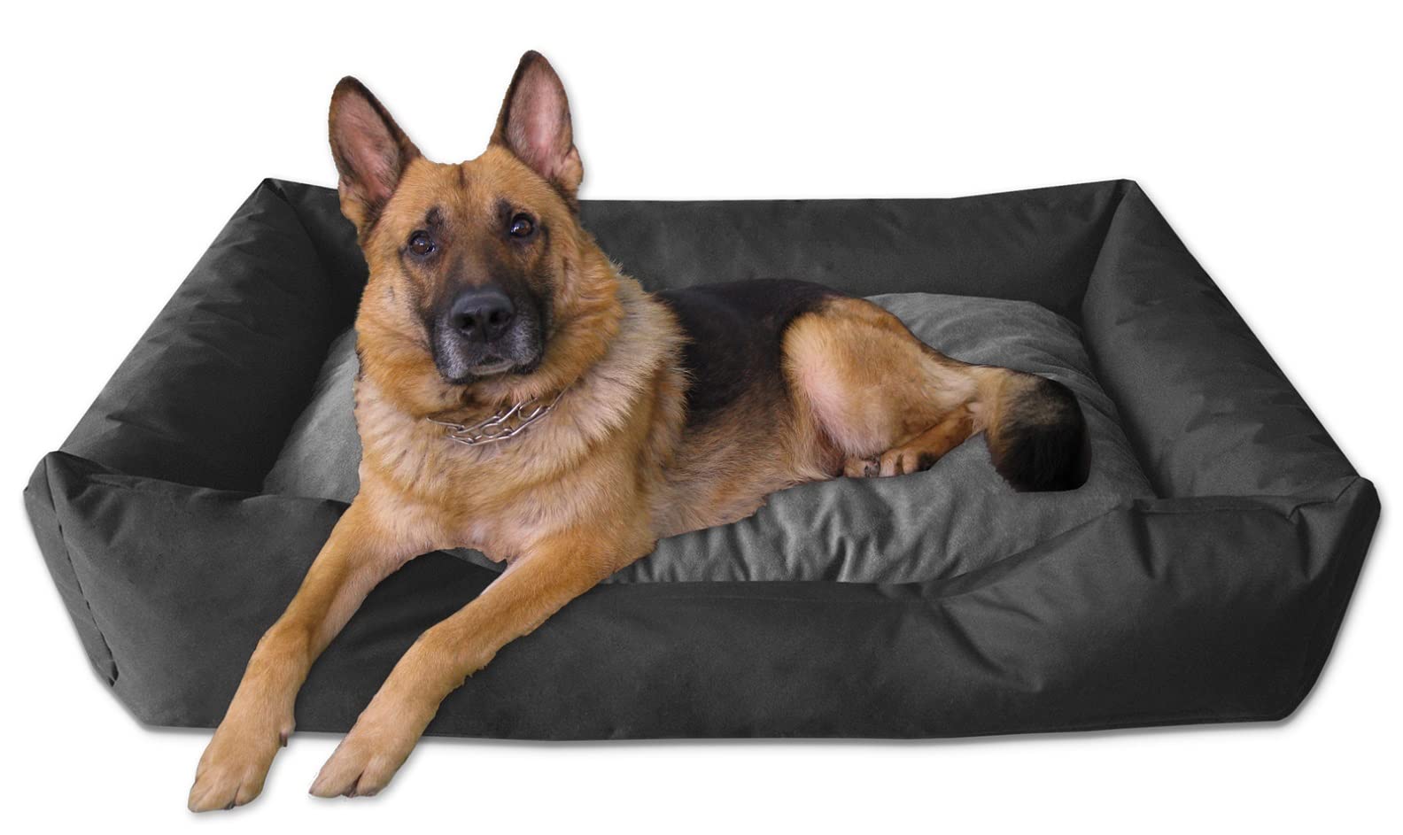 BedDog® Letto per Cane/Gatto Cuccia Mimi S Fino a XXXL, 26 Colori a Scelta, Cuscino, Divano, Cestino per Cane, Beige/Beige XL
