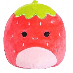 squishmallow burrito