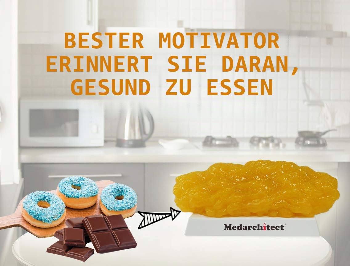 Authentische Nachbildung des menschlichen Körperfetts - 5 lb, Fit & Gewichtsverlust Motivation&Erinnerung, menschliches Fettgewebe-Demonstrationsmodell für Ernährungswissenschaftler