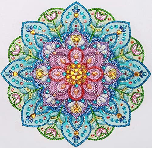 Peinture d'art diamant 5D, le cadeau amusant et créatif pour adulte