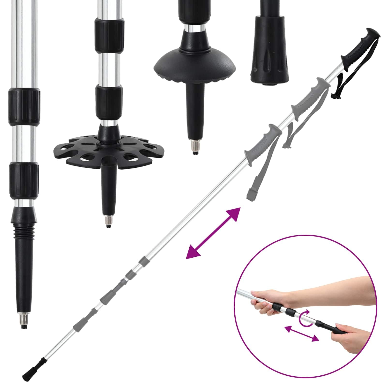 vidaXL Racchette da Neve 3 in 1 con bastoni da Trekking Argento e Nero, Ciaspole in Alluminio per Il Giardino, Attrezzatura Outdoor Regolabile, Accessori Moderni per Camminare sulla Neve
