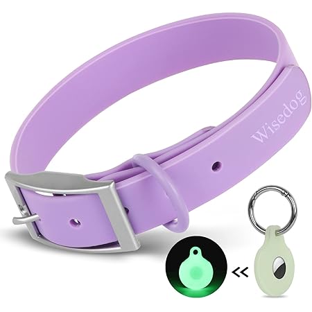 Adjustable Dog Collar with Airtag Holder: Durable Dog Collars, Soft Rubber Coated Webbing, Waterproof and Easy to Clean, for Small Medium Large Dogs