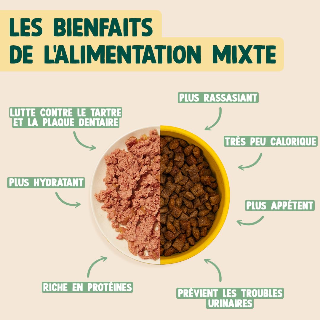FRANKLIN – Pâtées pour Chat – sans Céréales – pour Chaton, Chat Adulte & Sénior – 66% de Viande – Saveur Dinde, Camomille – Nourriture Humide – Maximise l'hydratation – Boite 12x100g