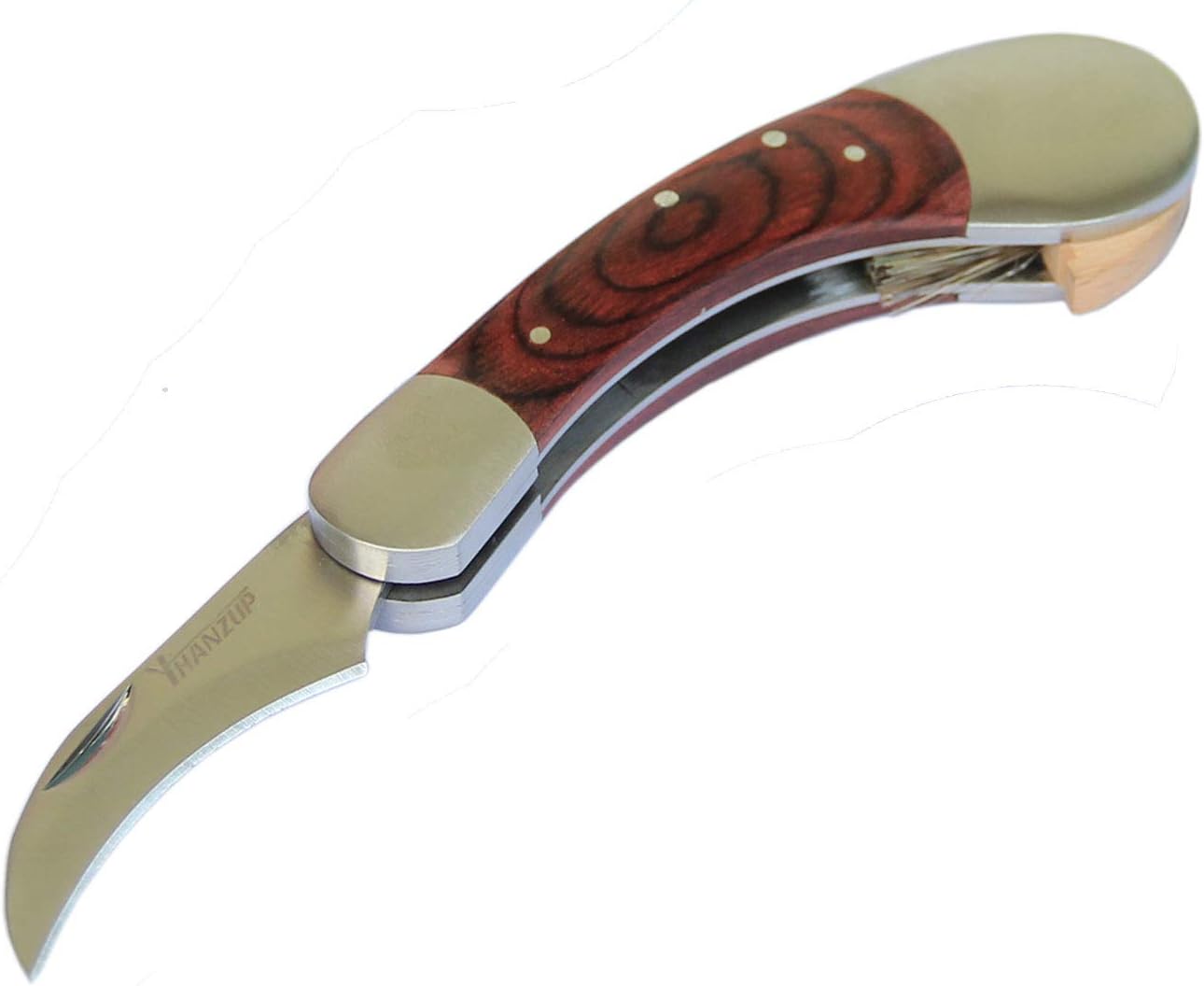 HANZIUP Folding Mushroom Knife with Neoprene Pouch Solid Wood Handle and Foldable Cleaning Brush : Sports & Outdoors
