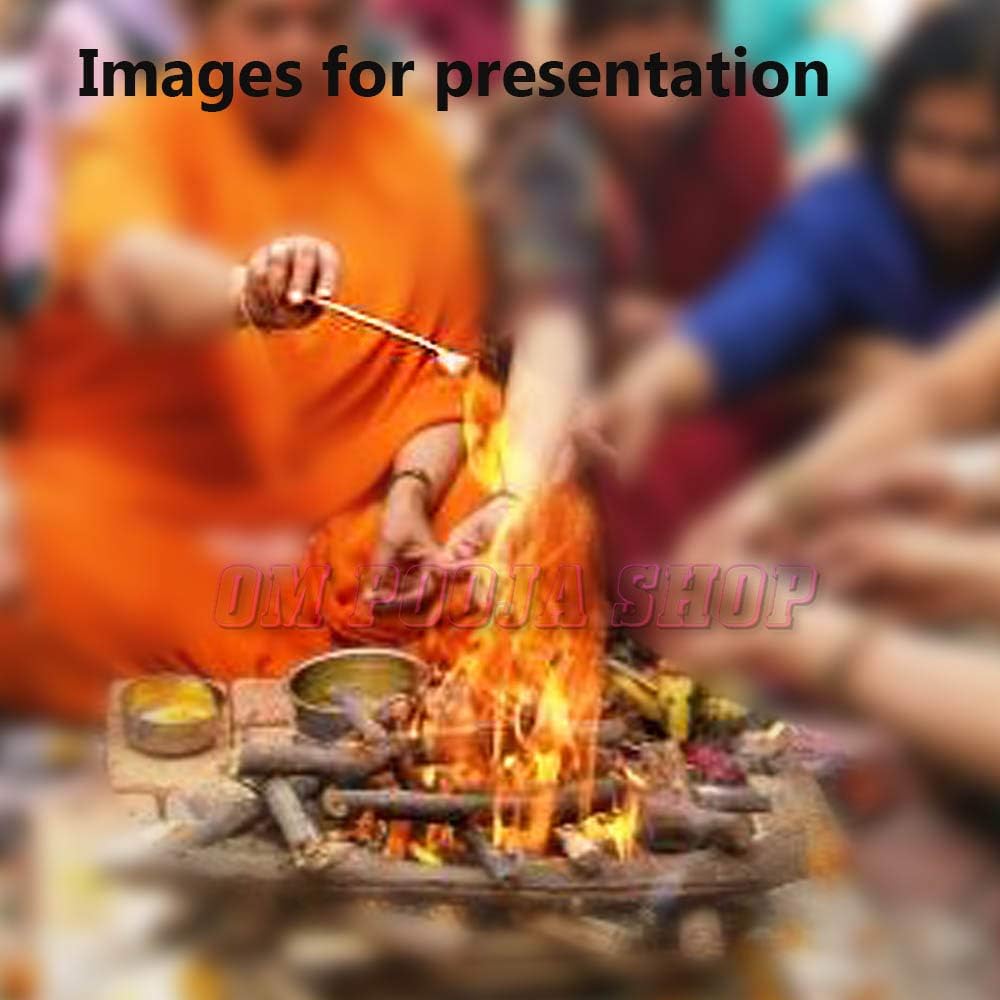 Ghee Spoon with Wooden Handle/Ghee Spoon for Homa Set of 2