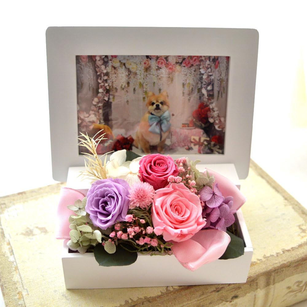 プリザーブドフラワー写真立てフォトフレームピンクバラローズ定価14700円 楽天市場】プリザーブドフラワー 写真立て フォトフレーム