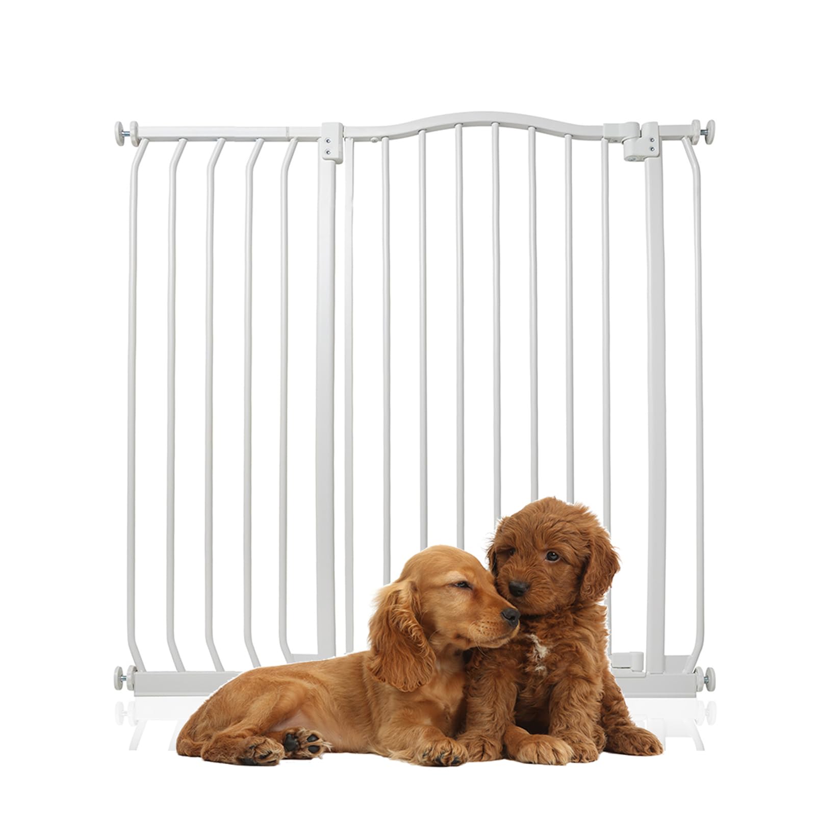 Bettacare White Extra Tall Curved Top Gate, 98Cm - 107Cm, Matt 100Cm Tall, Pressure Fit Pet Gate For Dog And Puppy, Easy Installation
