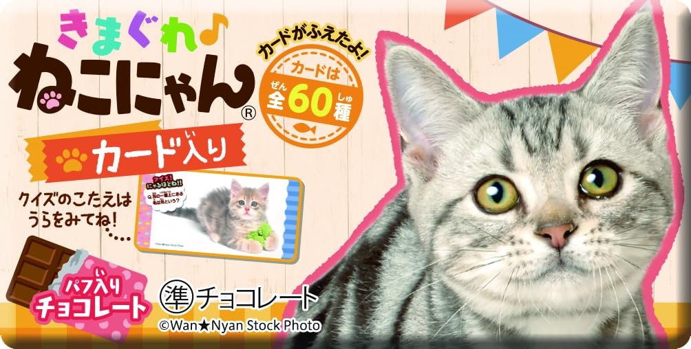 Amazon.co.jp: 正栄デリシィ きまぐれねこにゃん 1枚 ×20個 : 食品