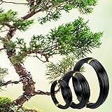 3 tamaños: El kit contiene 3 tamaños comunes de alambres de bonsai. Puede satisfacer sus diferentes necesidades en diferentes tamaños de bonsai o árbol.