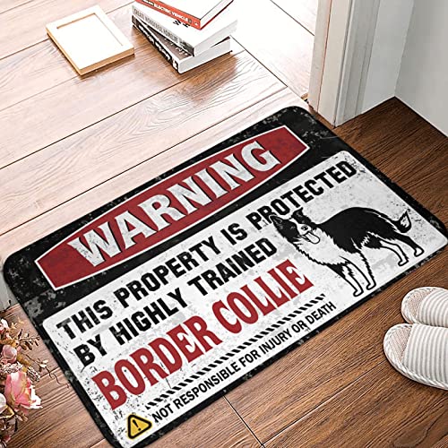 Paillasson extérieur Border Collie tapis de cuisine 50x80 cm décoratif d'été - 2