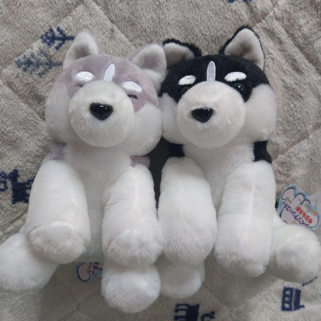 REGALO シベリアンハスキー ぬいぐるみ 2匹セット Amazon.co.jp: くったりシベリアンハスキー 犬 ぬいぐるみ 二匹セット