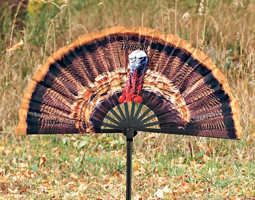 TRANS FAN TURKEY DECOY