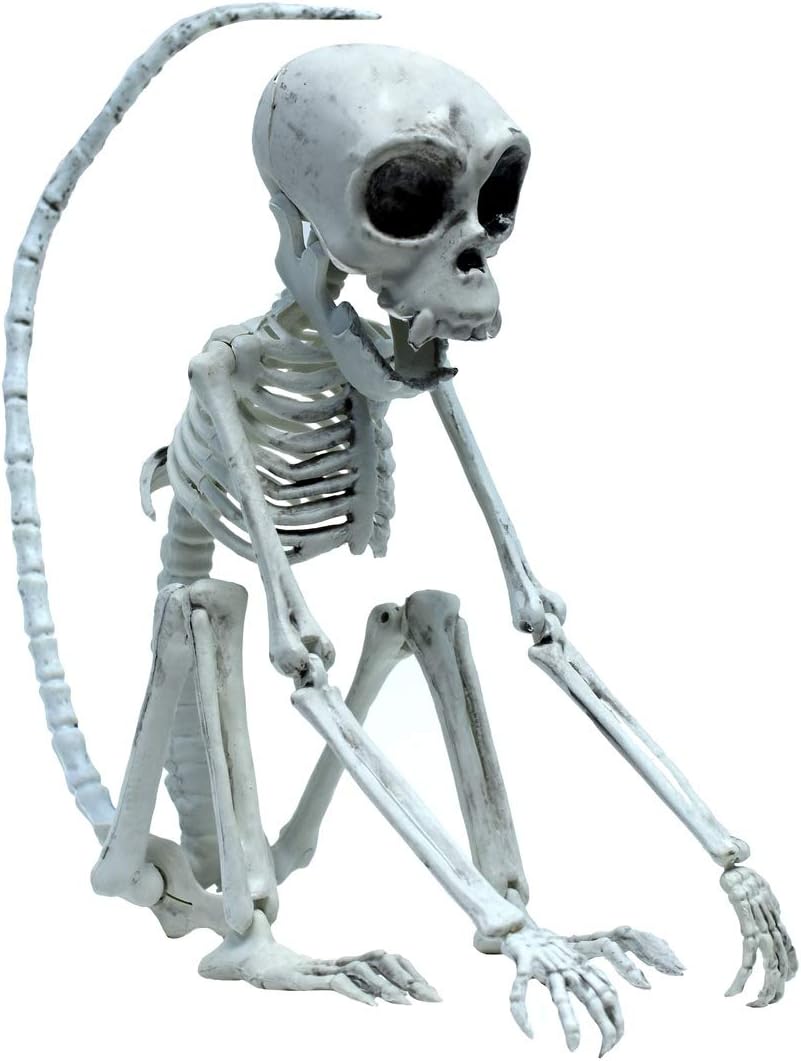 Grehge rus Monkey Skeleton Scary Halloween Party Decor Indoor Outdoor Ape Haunted House Prop