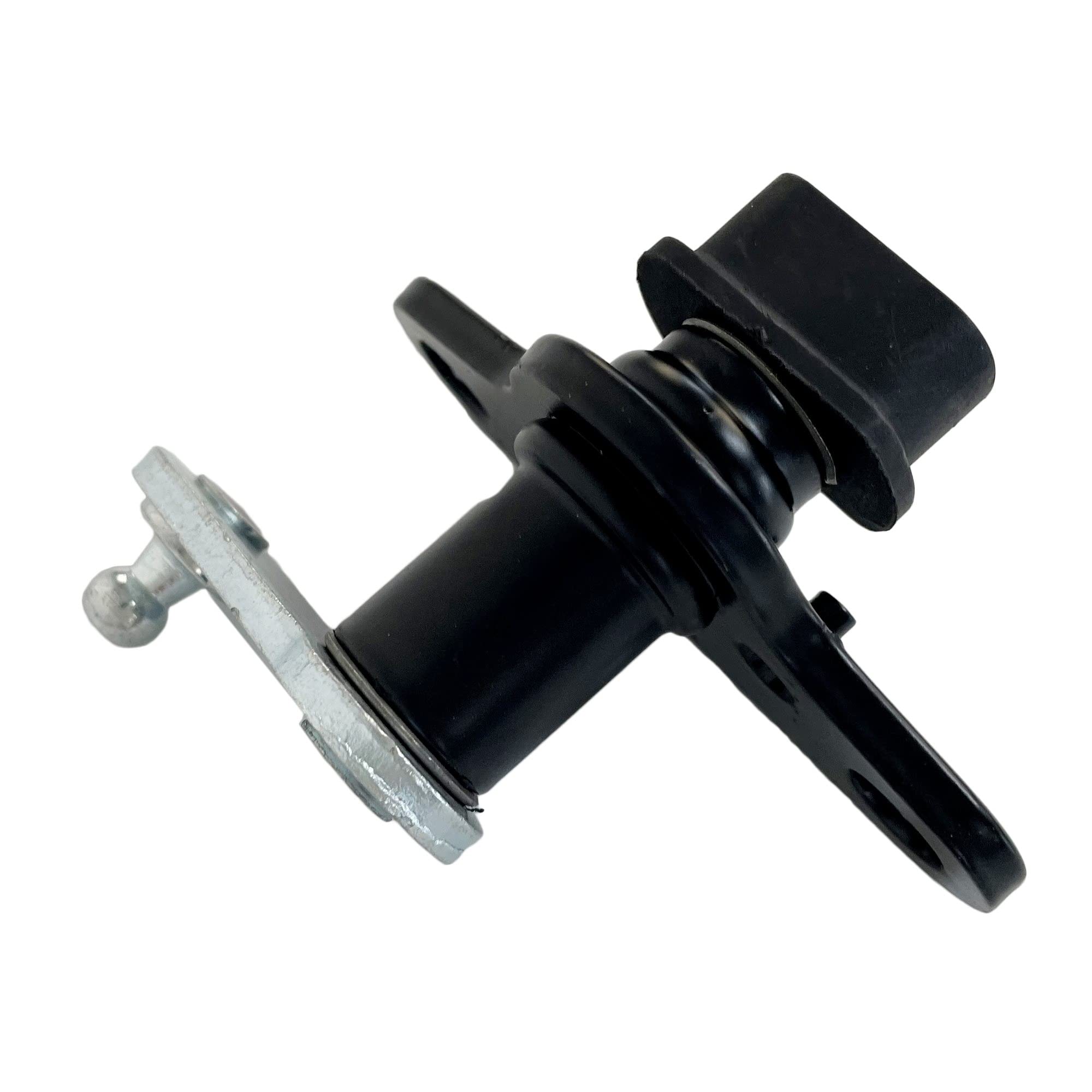 Amazon.com: Tailgate Hinge Roller Outer Right Side For 2005-2019