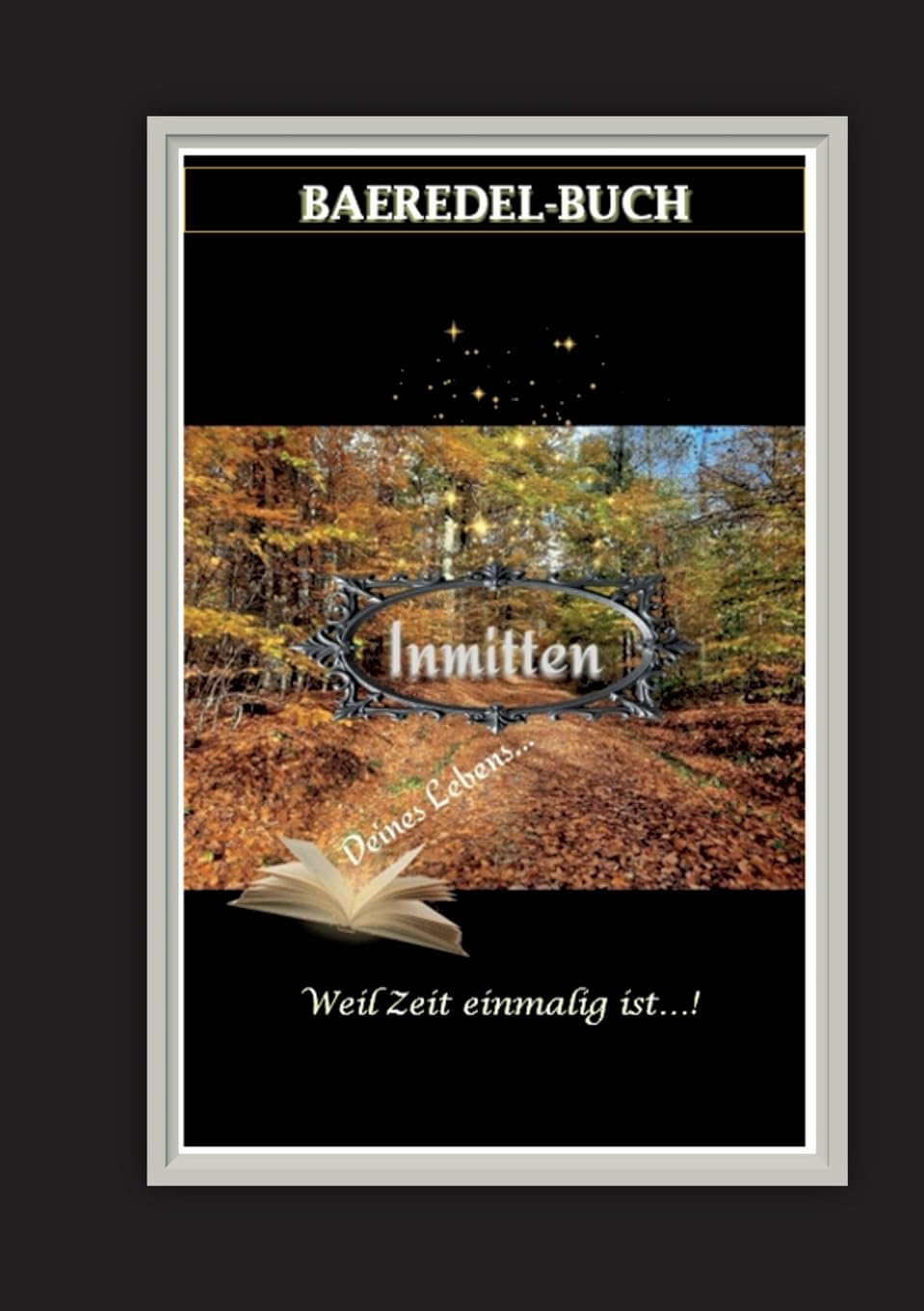 Inmitten Deines Lebens: Weil Zeit einmalig ist - Baeredel-Buch