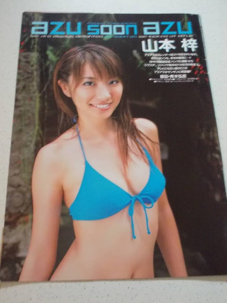 ◎大量まとめて◎グラビア◎山本梓◎切り抜き60ページクリア